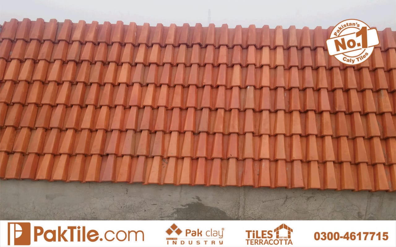 clay roof tiles design
