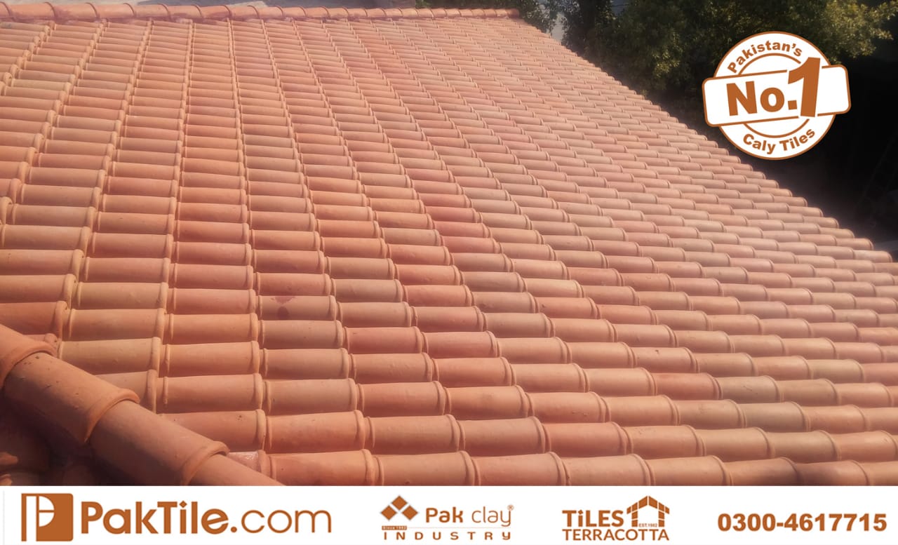 natural clay roof tiles industry
