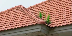 Red Roof Khaprail Tiles Manufacturer (1)