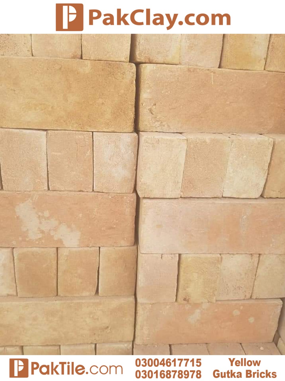 Bricks Floor Tiles Design in Pakistan