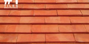 Tiles Design for Roof