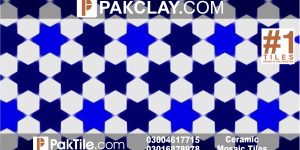 Blue Moroccan Tiles