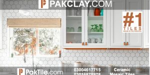 Hexagon Ceramic Tiles Design