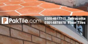 Lahore Pak Clay Industry