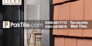 Handmade Terracotta Tiles in Sialkot