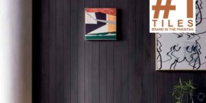 Terracotta Tiles best price in pakistan