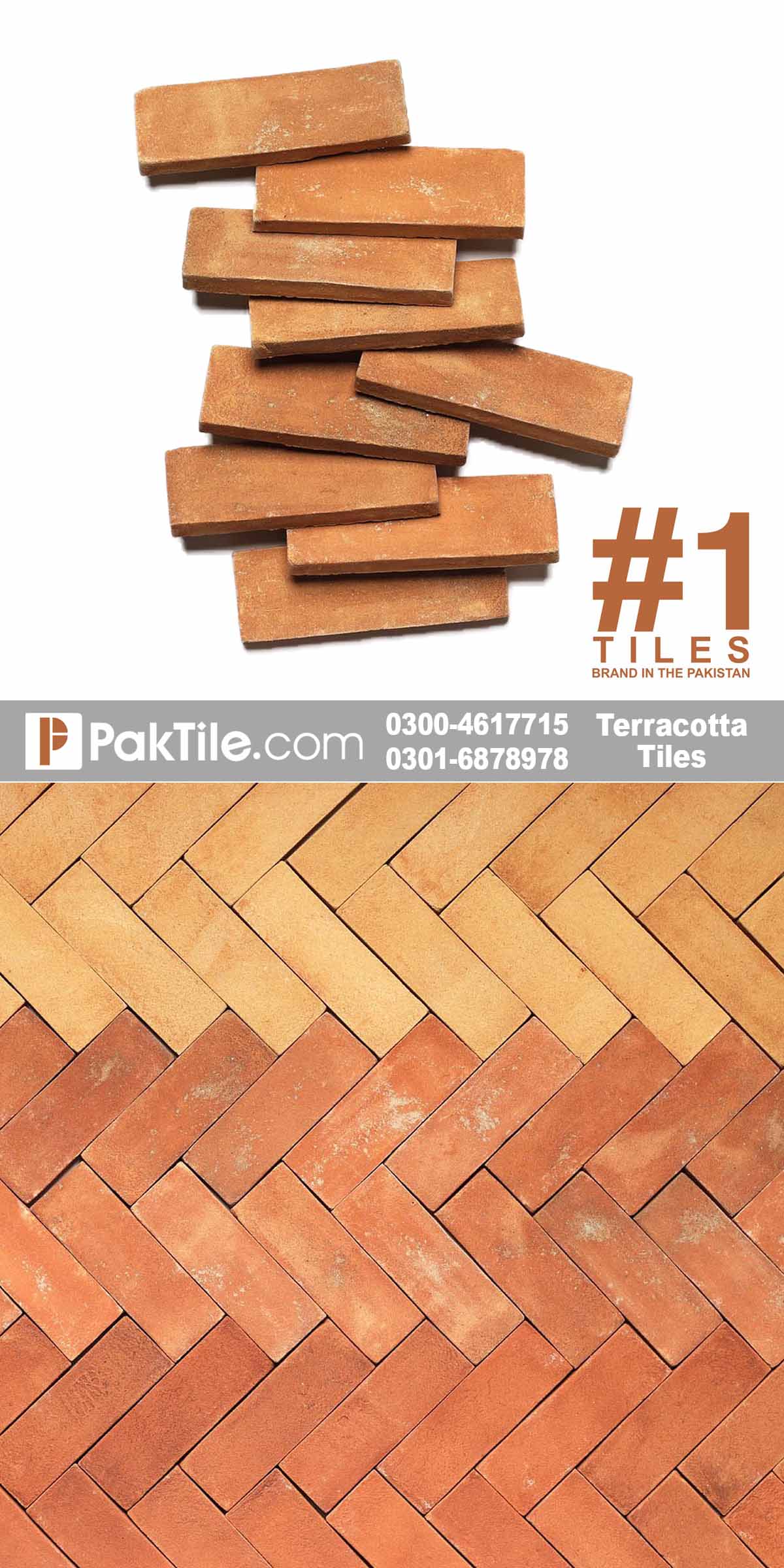 Terracotta Wall Tiles price