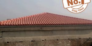 Kagan Brick Natural Khaprail Tile Color