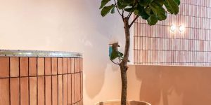 Livingroom brick wall tiles design in lahore