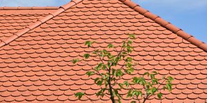 Pak Clay Khaprail Tiles in Dadu