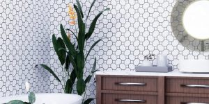 Pak Clay Mosaic Wall Tiles