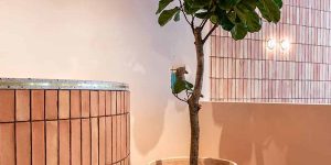 Indoor brick wall tile design