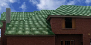 Khaprail Colour Price in Pakistan