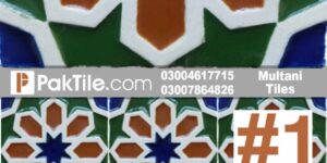 Multani Tiles Design