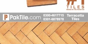 Terracotta Wall Tiles price